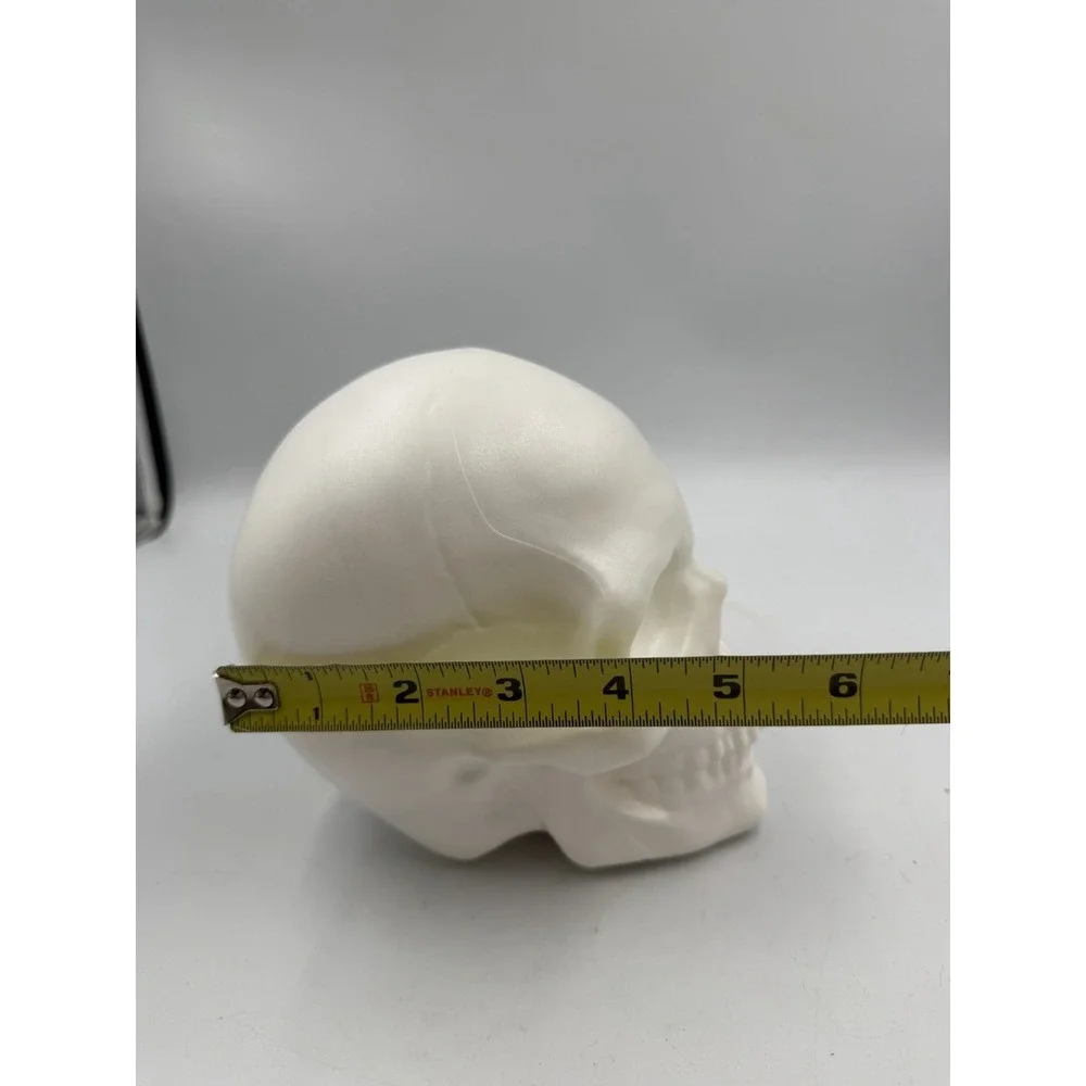 WHITE Iridescent SKULL Head 6x5